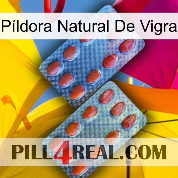 Píldora Natural De Vigra 05.jpg